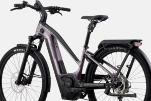 E-Bike Cannondale Mavaro Neo X 1 in der Seitenansicht