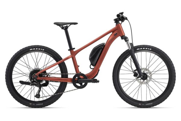 E-Bike Giant Talon E+ 24 für Kinder