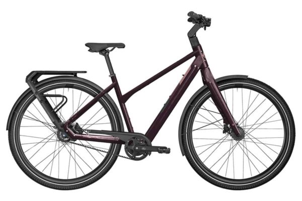 E-Bike Bergamont E-Vitess Expert Lady