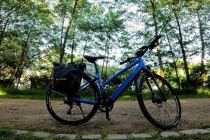 E-Bike Ridetronic im Test