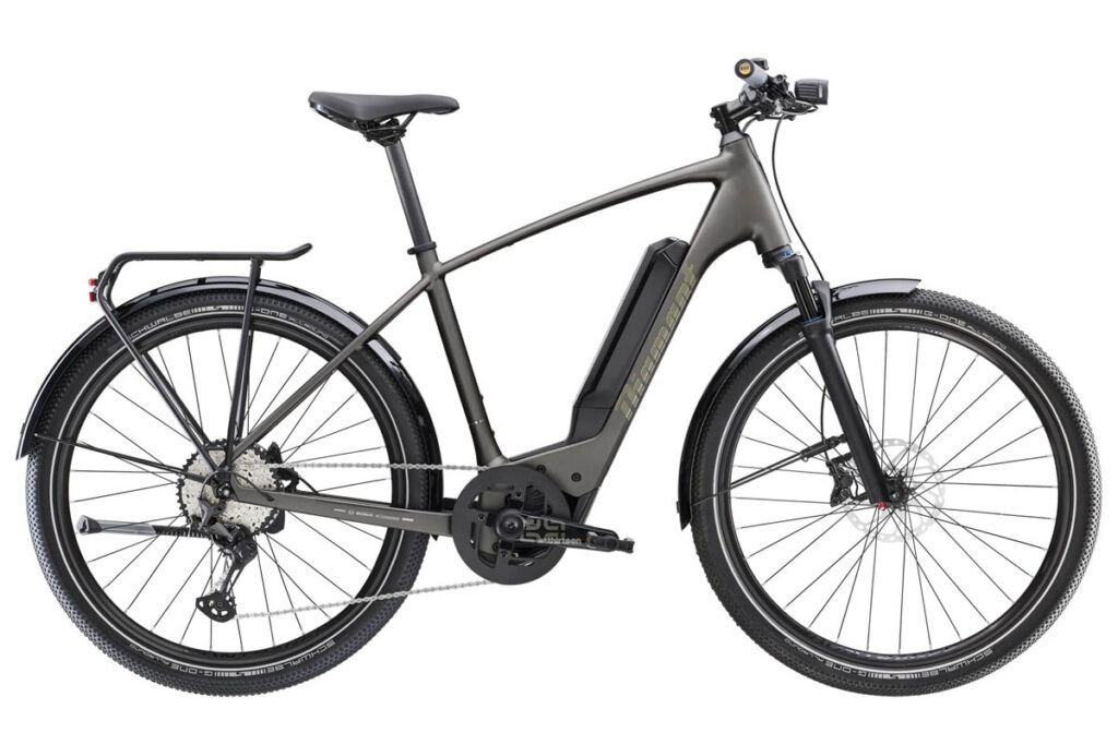 E-Bike Diamant Zing Super Deluxe mit Diamant-Rahmen