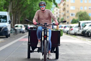 Schaltnabe Revolute Hub1 in einem E-Cargobike