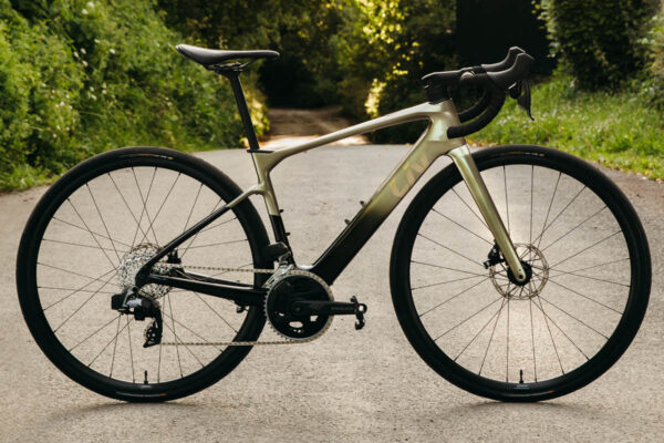 E-Bike Liv Avail Advanced E+ Elite 2